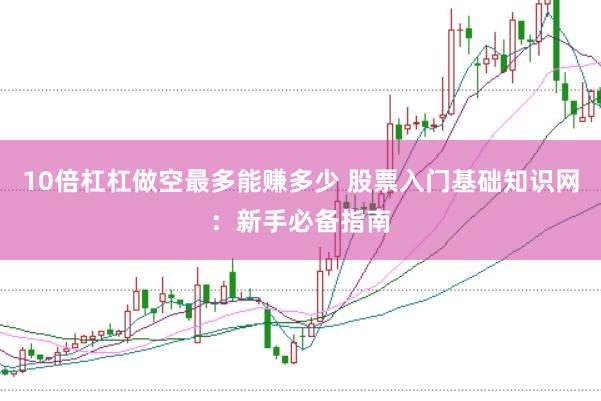 10倍杠杠做空最多能赚多少 股票入门基础知识网：新手必备指南