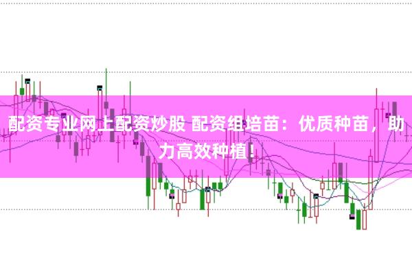配资专业网上配资炒股 配资组培苗：优质种苗，助力高效种植！