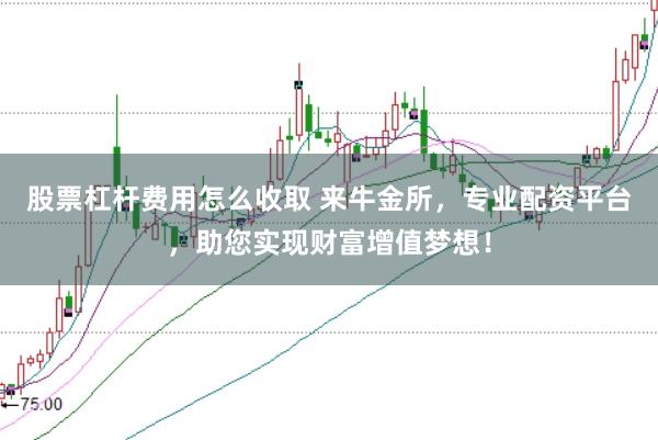 股票杠杆费用怎么收取 来牛金所,专业配资平台,助您实现财富增值梦想!