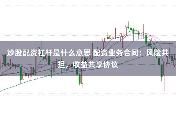 炒股配资杠杆是什么意思 配资业务合同：风险共担，收益共享协议