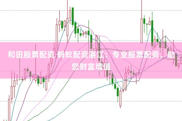 和田股票配资 蚂蚁配资湛江：专业股票配资，助您财富增值