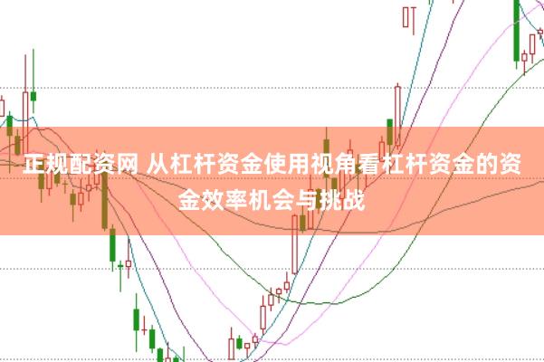正规配资网 从杠杆资金使用视角看杠杆资金的资金效率机会与挑战