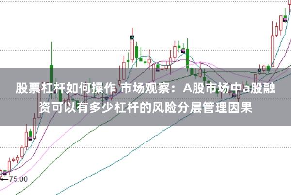 股票杠杆如何操作 市场观察：A股市场中a股融资可以有多少杠杆的风险分层管理因果