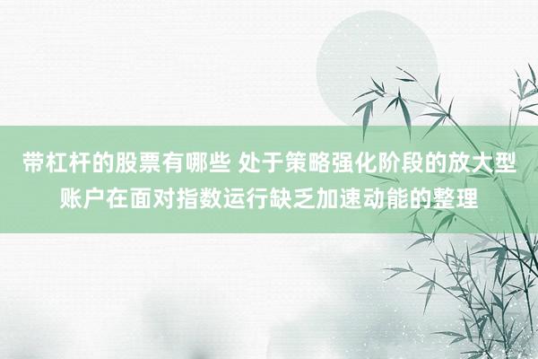 带杠杆的股票有哪些 处于策略强化阶段的放大型账户在面对指数运行缺乏加速动能的整理