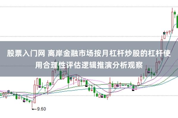 股票入门网 离岸金融市场按月杠杆炒股的杠杆使用合理性评估逻辑推演分析观察