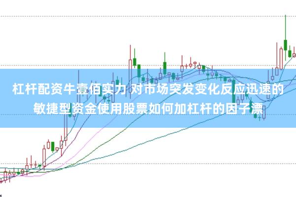 杠杆配资牛壹佰实力 对市场突发变化反应迅速的敏捷型资金使用股票如何加杠杆的因子漂