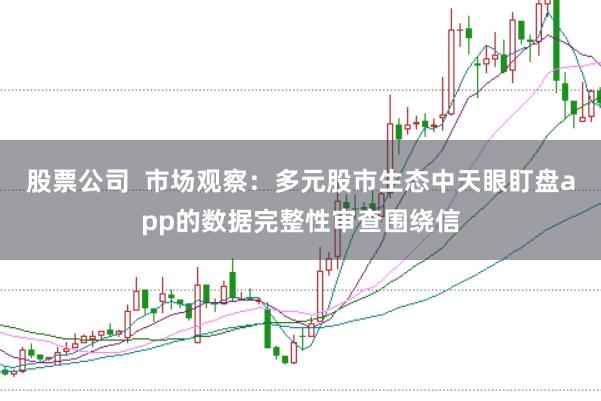 股票公司  市场观察：多元股市生态中天眼盯盘app的数据完整性审查围绕信