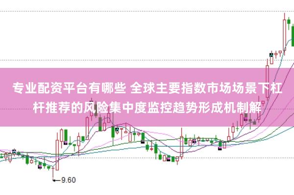专业配资平台有哪些 全球主要指数市场场景下杠杆推荐的风险集中度监控趋势形成机制解