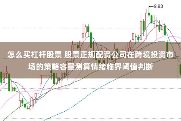 怎么买杠杆股票 股票正规配资公司在跨境投资市场的策略容量测算情绪临界阈值判断