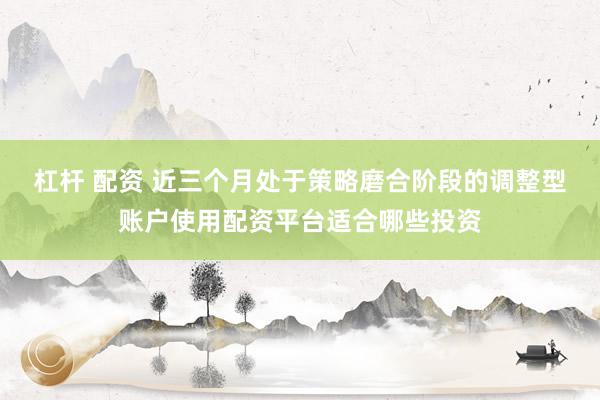杠杆 配资 近三个月处于策略磨合阶段的调整型账户使用配资平台适合哪些投资