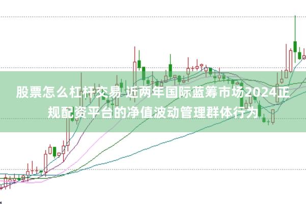 股票怎么杠杆交易 近两年国际蓝筹市场2024正规配资平台的净值波动管理群体行为