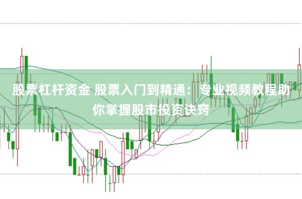 股票杠杆资金 股票入门到精通：专业视频教程助你掌握股市投资诀窍
