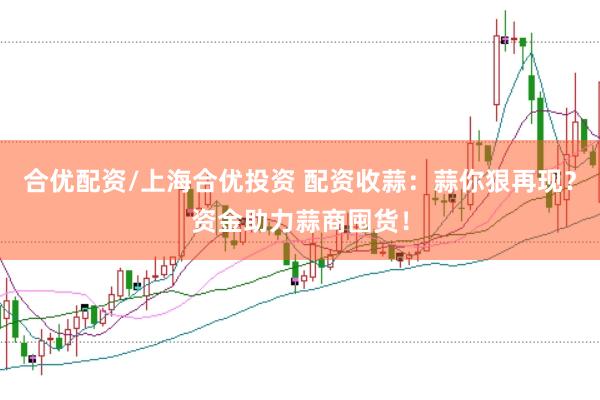 合优配资/上海合优投资 配资收蒜：蒜你狠再现？资金助力蒜商囤货！