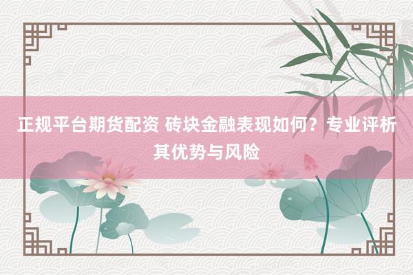 正规平台期货配资 砖块金融表现如何？专业评析其优势与风险