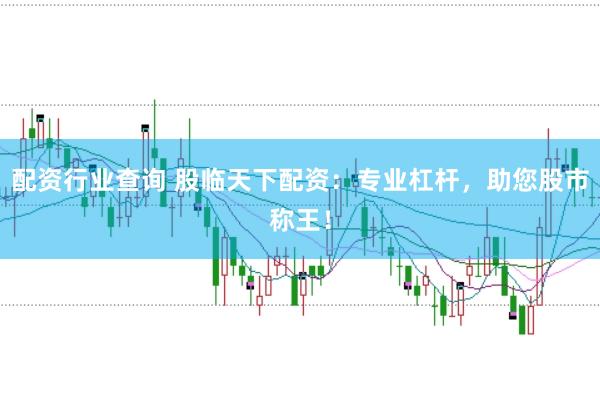 配资行业查询 股临天下配资：专业杠杆，助您股市称王！